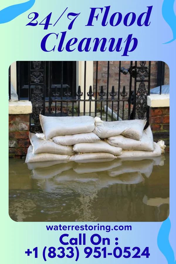 24/7 Flood Cleanup in Ratamosa, TX