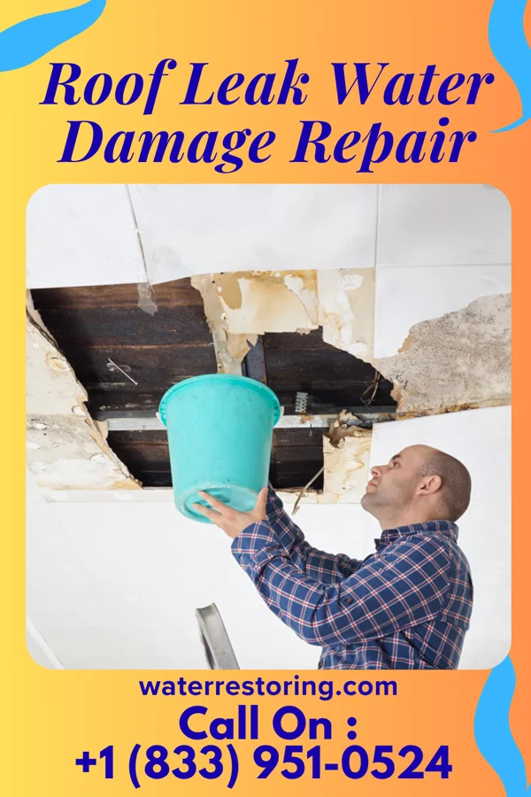 Roof Leak Water Damage Repair in Ratamosa, TX