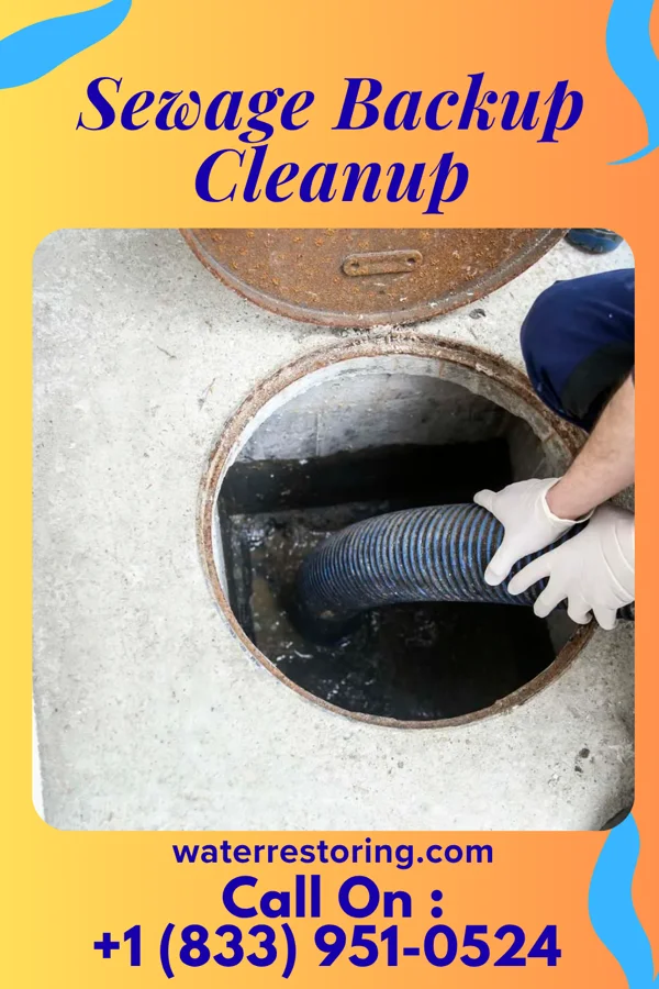 Sewage Backup Cleanup in Ratamosa, TX